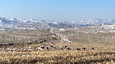 ADC2A033-EF00-485E-AB63-FF28E4578590.jpeg