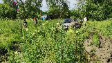 Моментальный снимок 23 (12.07.2023 21-30).png