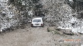 Фото Трофи-лайф 4х4 покатушка Новоистринские Просеки 28.10.23 - 421.jpg