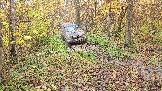 20251011_122206.jpg