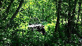 Трофи-лайф фото 4х4 покатушка Рузские Срезочки 22.06.2024 -  (8).png