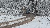 20251115_123828.jpg
