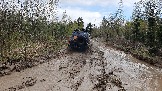 20250426_124418.jpg
