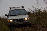 IMG_8684.jpeg