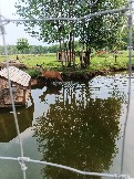 IMG_20260613_135741_672.jpg