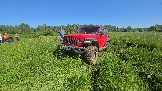 20260606_152454.jpg