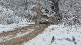 20251115_124148.jpg