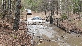 20250315_121339.jpg