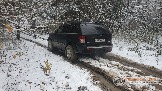 Фото Трофи-лайф 4х4 покатушка Новоистринские Просеки 28.10.23 - 307.jpg