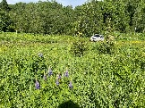 IMG_8808.JPG