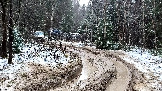 Трофи-лайф фото 4х4 покатушка Гремячий Ключ 22.11.2025 - (7).jpg