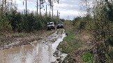 20250426_120718.jpg
