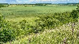 IMG_1281.jpg