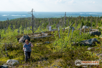 _DSC7369.jpg