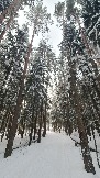 20231209_151341.jpg