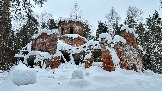 IMG_7741.jpg