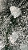 53AC2149-F6C2-4D15-84CD-EA59C608A720.jpeg