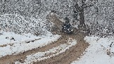 20251115_124044.jpg