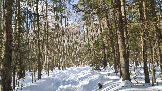 Трофи-лайф фото 4х4 покатушка Каширский Зигзаг 09.03.2024 (50).png