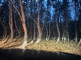 IMG_5668.JPG