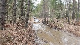 20250315_121323.jpg