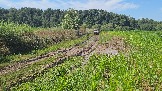 20260801_135257.jpg