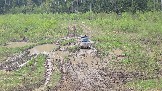 20260510_150940.jpg