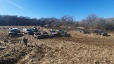 20250308_121345.jpg