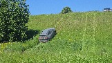 20260606_132957.jpg