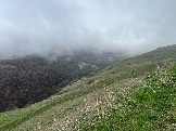 IMG_8458.JPEG