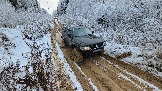 20251115_122912.jpg