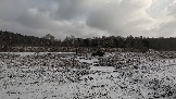 Трофи-лайф фото 4х4 покатушка Школа 4х4 16.02.2025 -  (26).jpg