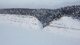 DJI_0775.JPG