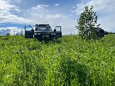 IMG_8788.JPG
