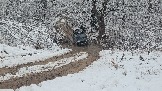 20251115_123832.jpg