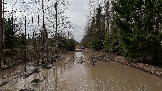Трофи-лайф фото 4х4 покатушка Каширский зигзаг 06.04.2024 -  (32).png