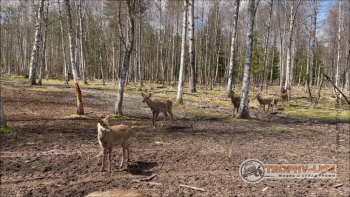 Фото Трофи-лайф 4х4 покатушкаэкспедиция Тверской Край 1-2.05.22 - 130.jpg
