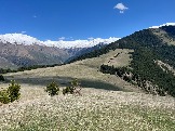 IMG_8683.JPEG