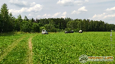 10101000п27.png