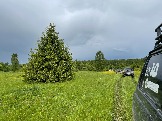 IMG_8752.JPG