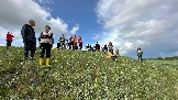 IMG_1294.jpg