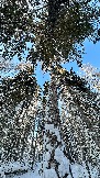 722F65E4-0022-4577-AB93-05087633D671.jpeg