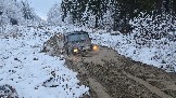 20251115_122421(0).jpg