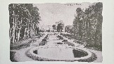 20250503_105541.jpg