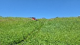 20260606_132309.jpg