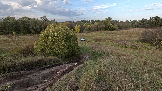 Трофи-лайф фото 4х4 покатушка Подвиги Русского Солдата 28.09.2024 -  (232).png