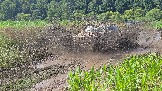 20260801_135058.jpg