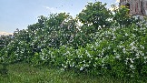 20260530_195422.jpg