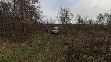Трофи-лайф фото 4х4 День Рождения Трофи-лайф 17 лет 26.10.2024 -  (10).png