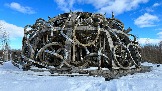 IMG_1373.jpg